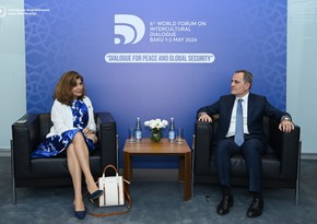 Azerbaijani FM discusses COP29 with Assistant Director-General of UNESCO