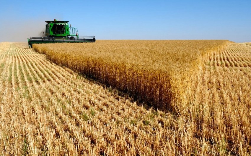 Казахстан может увеличить экспорт зерна через Азербайджан