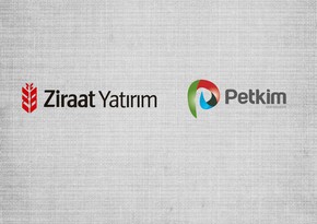 ​Компания Ziraat Yatırım увеличила рыночную стоимость Petkim на 10%