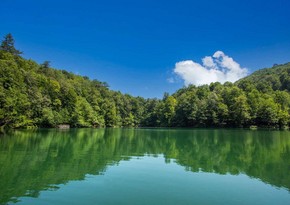 Milli parklarda gözlənilən hava şəraiti açıqlanıb