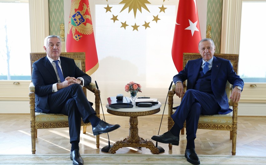 Эрдоган встретился с президентом Черногории
