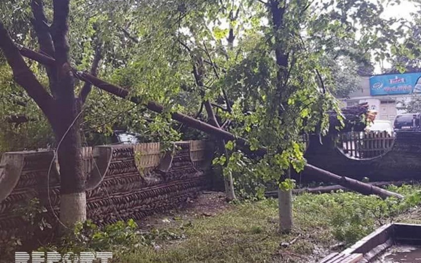 Сильный ветер и ураган привели к серьезным последствиям в Грузии - ФОТО