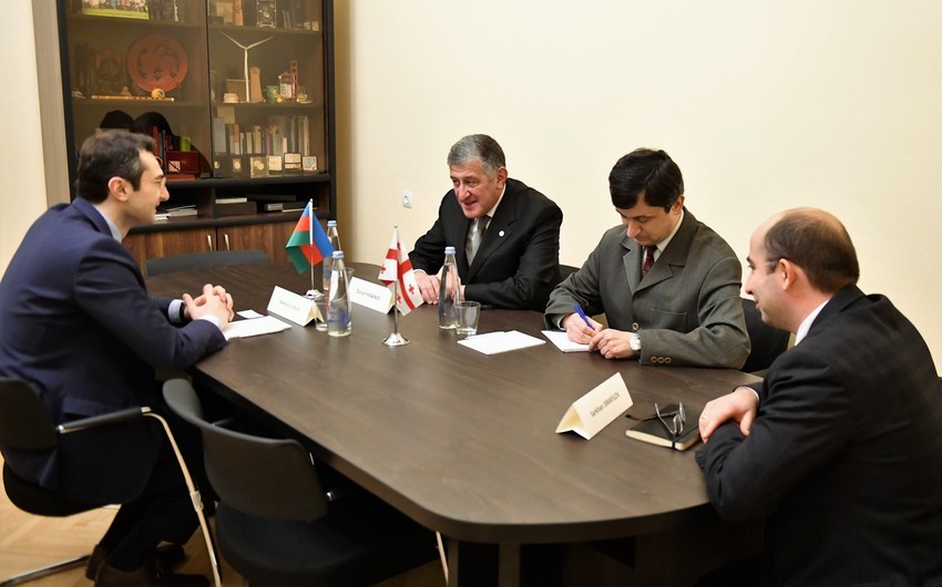 Посол Азербайджана встретился с вице-спикером парламента Грузии
