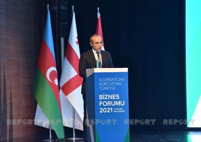 Микаил Джаббаров: Азербайджан инвестировал в Грузию 3,3 млрд долларов