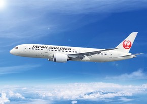 Авиакомпания Japan Airlines приостановила продажу билетов из-за кибератаки