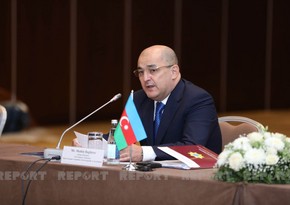 Шахин Багиров: В ближайшее время будет подготовлена платформа по обмену информацией с Грузией и Турцией