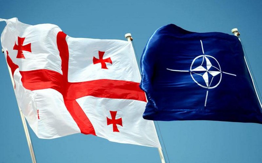 В сентябре в Тбилиси состоится сессия Североатлантического совета НАТО
