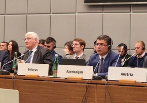 Азербайджан представлен на дополнительной встрече по человеческому измерению ОБСЕ