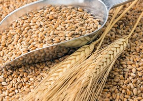 Russian wheat imports to Azerbaijan drop drastically
