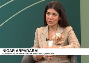 Nigar Arpadarai: İqlim dəyişikliyi ilə mübarizə hər kəsi əhatə etməlidir