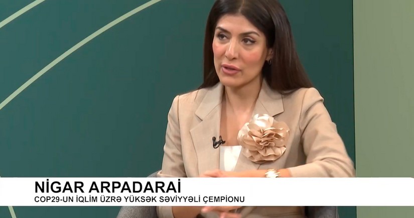 Nigar Arpadarai: İqlim dəyişikliyi ilə mübarizə hər kəsi əhatə etməlidir