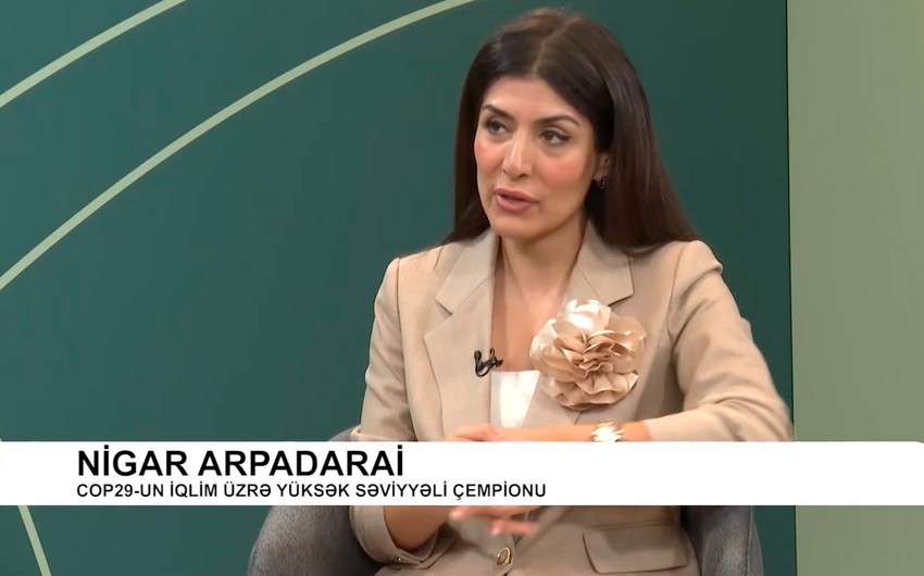 Nigar Arpadarai: Fight against climate change must involve everyone