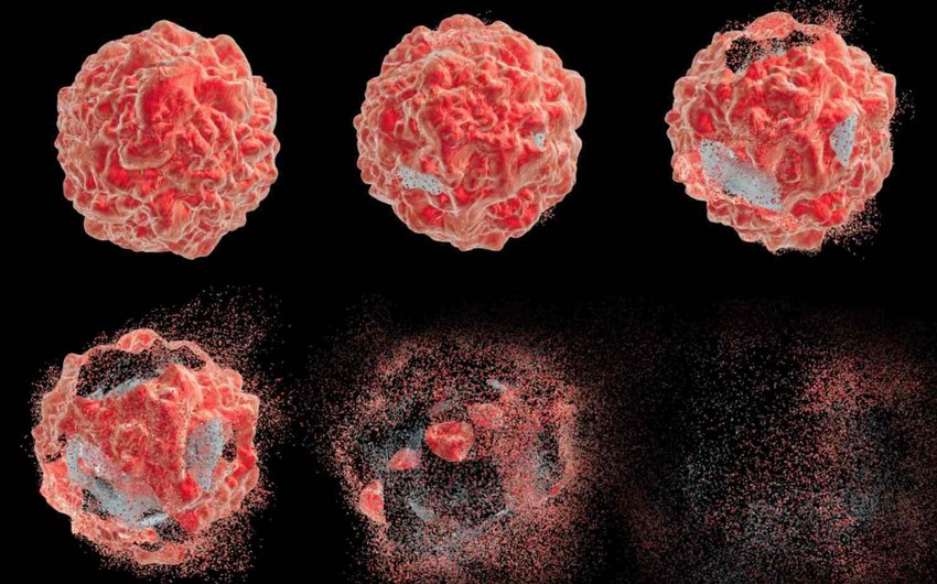 KİV: Koronavirusu məhv edən molekul tapılıb