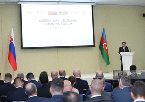 Anar Akhundov: Azerbaijan, Slovakia explore practical aspects of gas supply