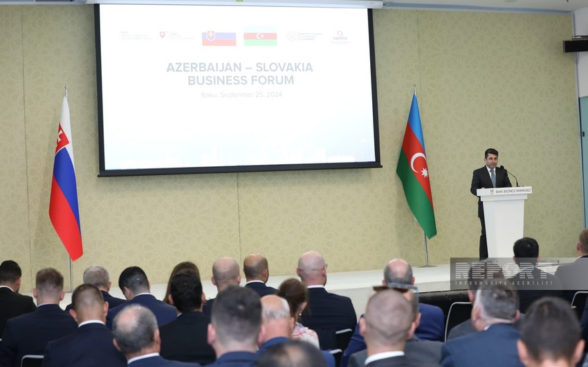 Anar Akhundov: Azerbaijan, Slovakia explore practical aspects of gas supply