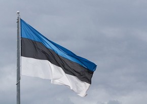Эстония введет запрет на ввоз санкционных товаров из РФ частными лицами