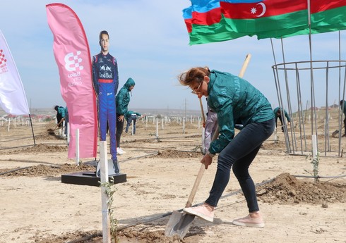 По случаю 100-летнего юбилея Гейдара Алиева проведена очередная акция по посадке деревьев