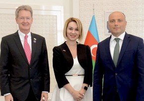 Посол Великобритании встретился с министром культуры Азербайджана
