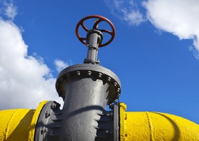 Агентство Fitch вдвое сократило прогноз цен на газ в Европе на 2023 год