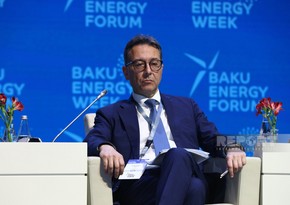 SOCAR VP: Countries face challenges in developing power grids for green energy transmission