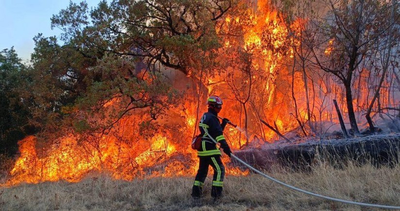 В странах ЕС пожары уничтожили 700 тыс. га леса 