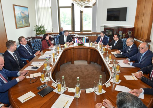 Микаил Джаббаров обсудил двусторонние отношения между Азербайджаном и Словакией