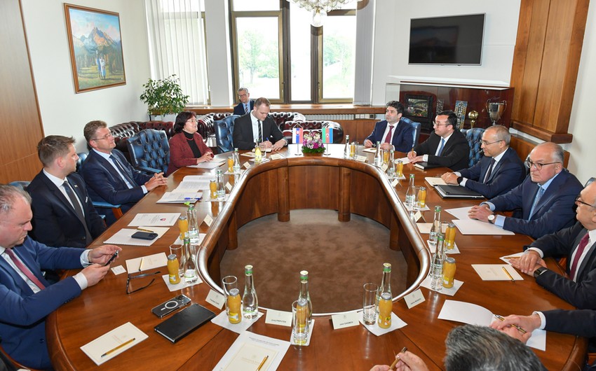 Azerbaijan, Slovakia mull bilateral relations