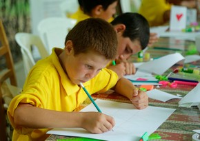 В Азербайджане будут организованы бесплатные летние школы