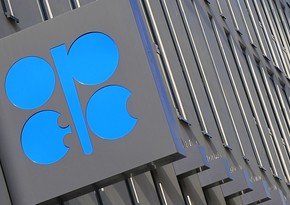 OPEC+ agreement may be cancelled