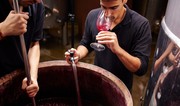 Global wine production to be lowest since 1961 this year 