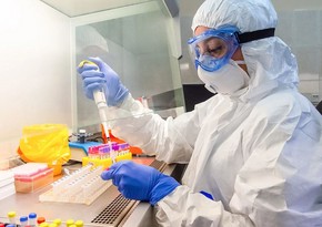 СМИ: Ученые успешно испытали препарат, убивающий раковые клетки