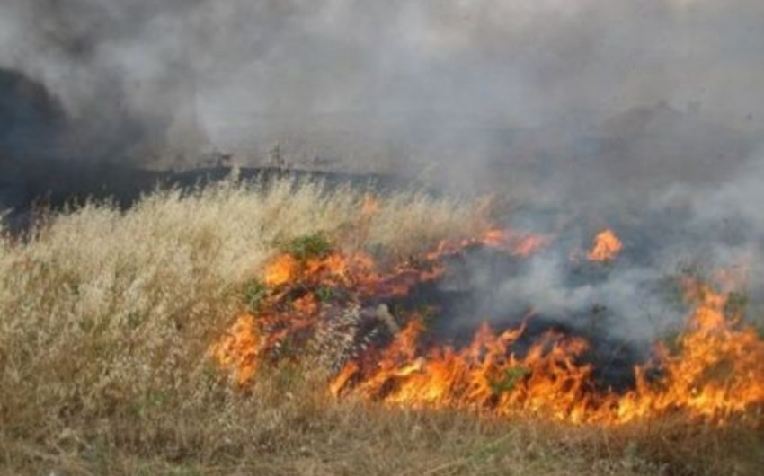 ​В Агдаме сгорел посевной участок