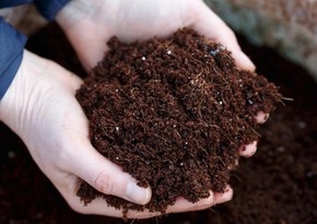 Azerbaijan accounts for 71% of organic fertilizer imports into Georgia in January