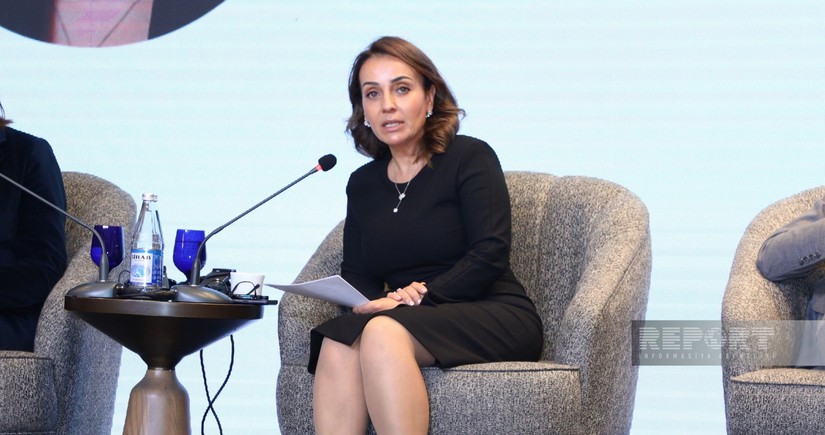 Алия Азимова: Поддержка перехода к новой модели развития частного сектора - один из приоритетов IFC в Азербайджане