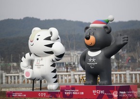 Budget of PyeongChang Olympic Winter Games named