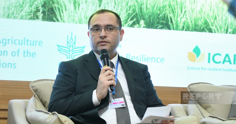 Majnun Mammadov: 'We will launch Harmoniya initiative to support farmers within COP29'