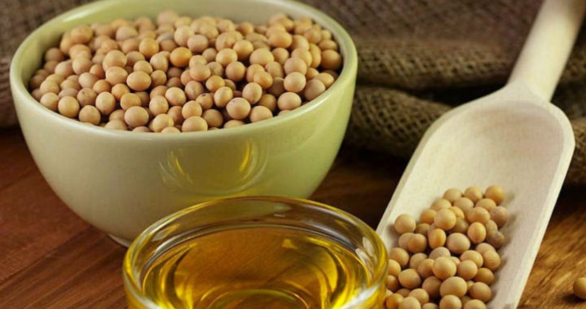 Азербайджан существенно увеличил импорт соевого масла из Турции