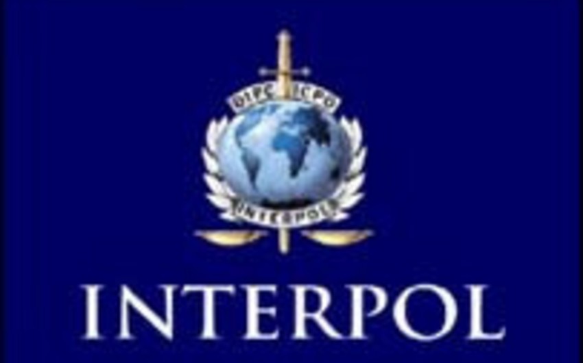 Полиция США обратилась в Интерпол в связи с пропавшей азербайджанкой