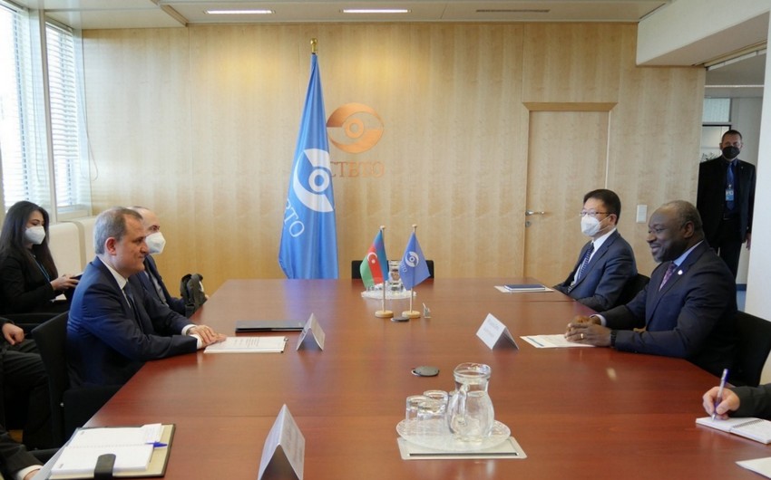 Azerbaijani Foreign Minister meets with CTBTO Executive Secretary