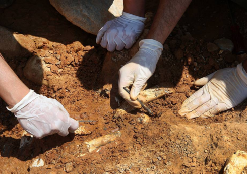 В Израиле нашли следы самой древней кремации