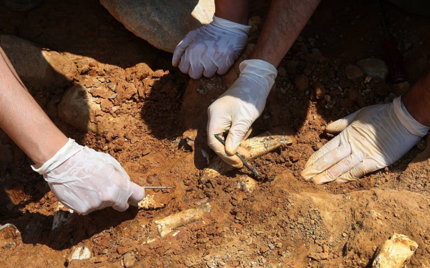 В Израиле нашли следы самой древней кремации