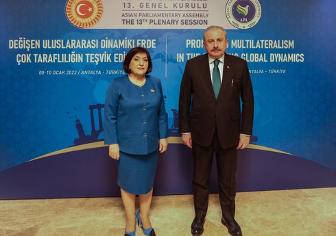 Председатели парламентов Азербайджана и Турции провели встречу в Анталье