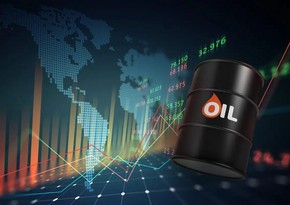 Oil rises moderately amid decline in US crude inventories