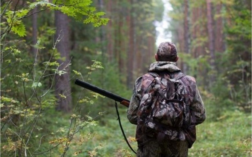 Number of hunting days increased in Azerbaijan