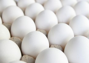 Egg production in Azerbaijan grows nearly 2%