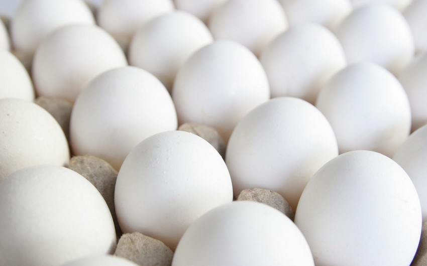Azərbaycanda yumurta istehsalı 2 % artıb