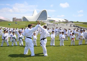 Famous Azerbaijani athlete may open martial arts school