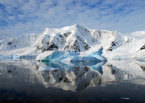 Scientists discover predatory microorganisms in Antarctic ice