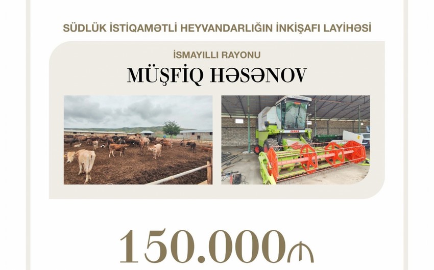 Concessional loan allocated to support dairy farming project in Azerbaijan