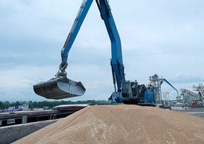 Algeria bars France from wheat import tender as relations sour, sources say